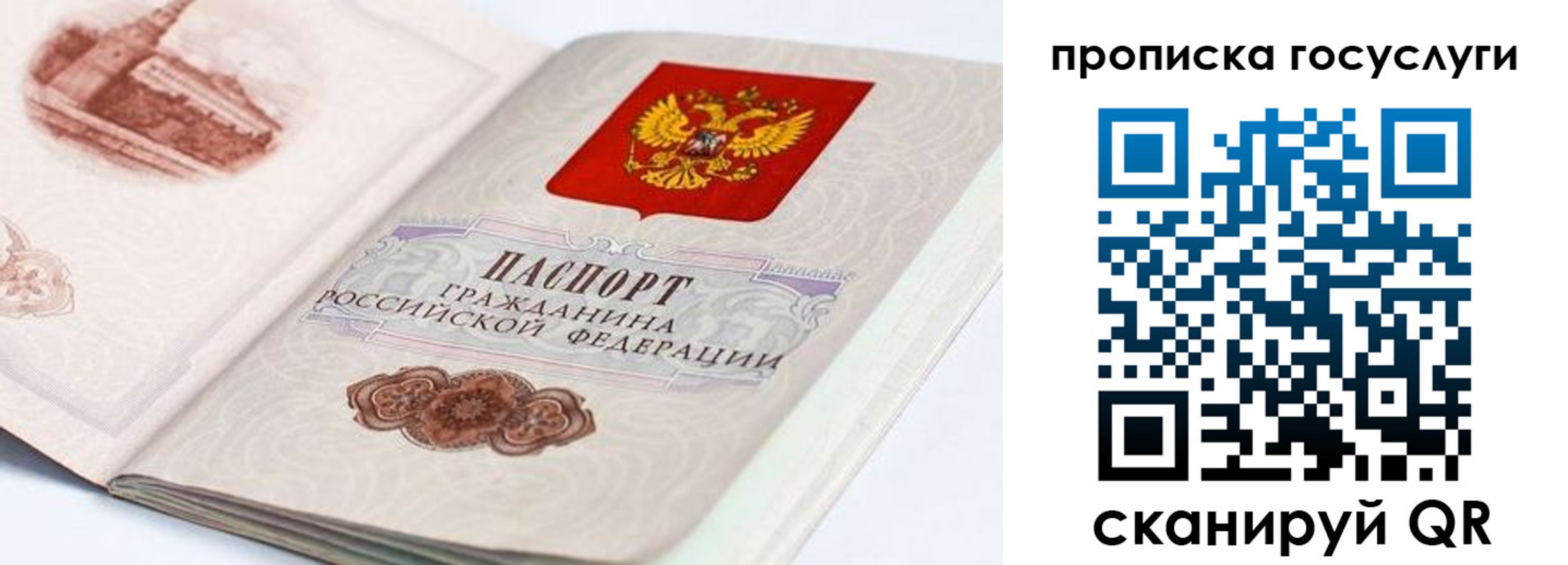 прописка гарантия в Моршанске
